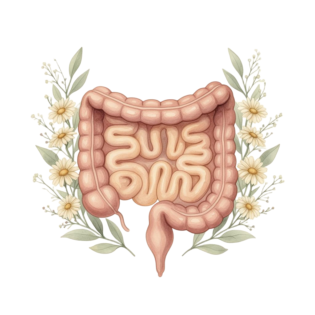Ilustração botânica em aquarela de um intestino cercado por folhas e flores delicadas